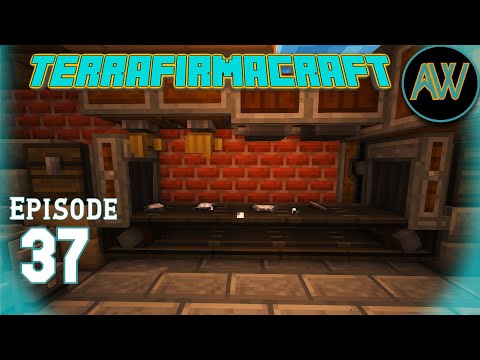 Stainless is not Painless - TerraFirmaCraft Ep. 37