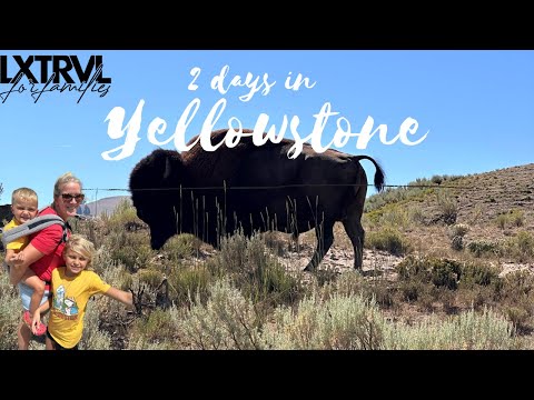 Exploring Yellowstone’s Grand Loop | Epic Family Adventure