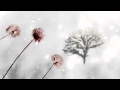 OST I'm Sorry I Love You - Snow Flower - Park ...