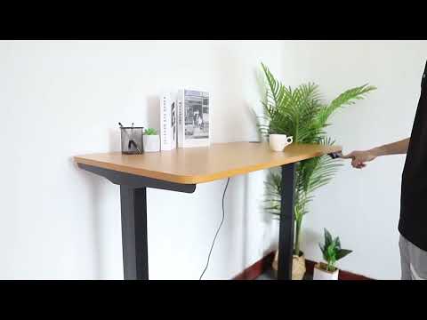 Electric motor bibus b-at-02-r2 sit stand desk