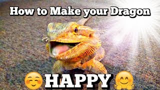 How to Make Your Dragon Happy