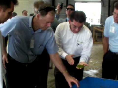 Tour the PetroAlgae Fellsmere facility minus the smell