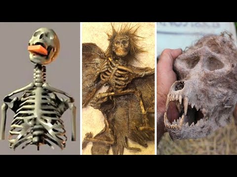 Vampires, Witches and Werewolves - Uncanny Archaeological Discoveries!