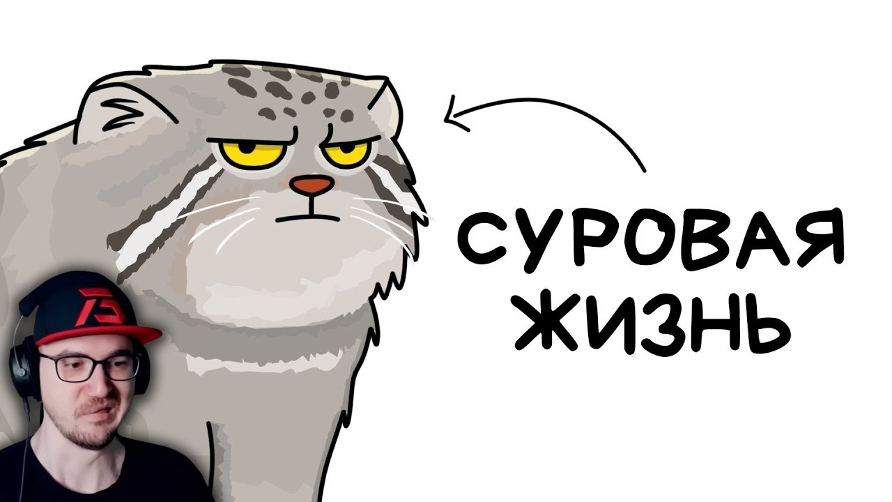 Ты - Манул (И ЭТО ВСЯ ТВОЯ ЖИЗНЬ) ► Setonix | Реакция