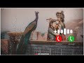 Kishori Kuch Aisa Intjam Ho Jaye Full Song Ringtone Radha Krishna Ringtone Download