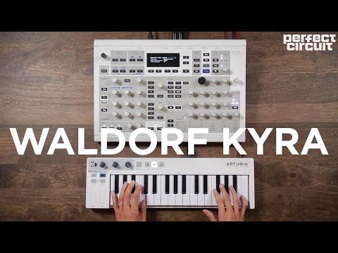 Waldorf Kyra 128-Voice Virtual Analog Desktop Synthesizer 2019 - Present - White image 3