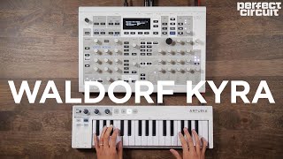 Video thumbnail for Waldorf Kyra Virtual Analog Synthesizer Sounds by Perfect Circuit