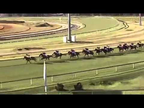 2014 S A Derby G1- Louis The King