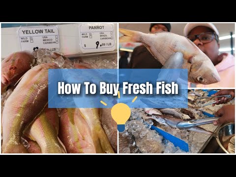 How To Buy Fresh Fish | Fish market | Dollar Tree Winter Bowl  ❄️#dollartree