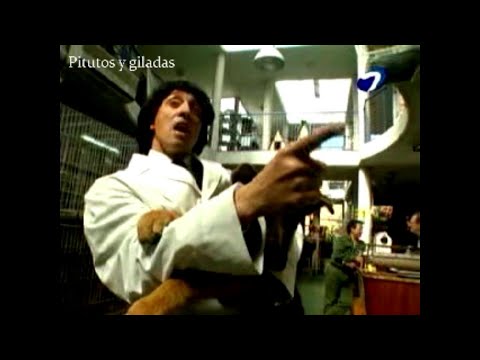 Ranking musical Todo por dos pesos "Fiel" Pol Mc Arne