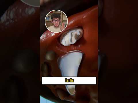 Ce se INTAMPLA cand un CAINE de POLITIE isi pierde un DINTE (Alex Hada Reacts) #shorts