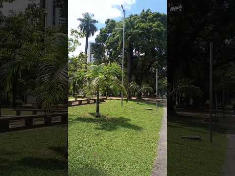 Parque da Jaqueira - Recife - Pernambuco.