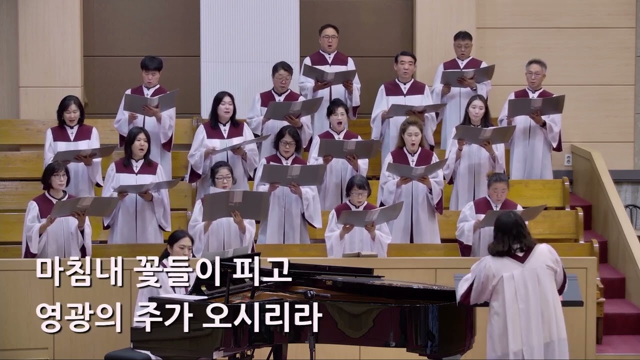25/07/27 부평동부교회 주일오전예배 찬양 "꽃들도" - 시온 찬양대
