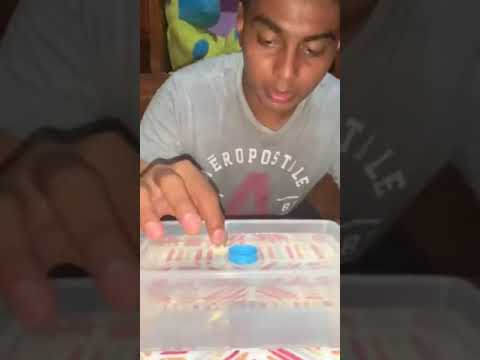 Experimento del Diamagnetismo