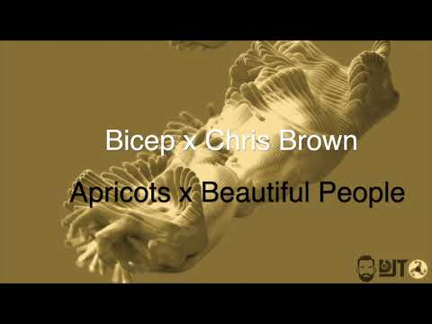 Bicep x Chris Brown - Apricots x Beautiful People (DJT Mash Up Mix)