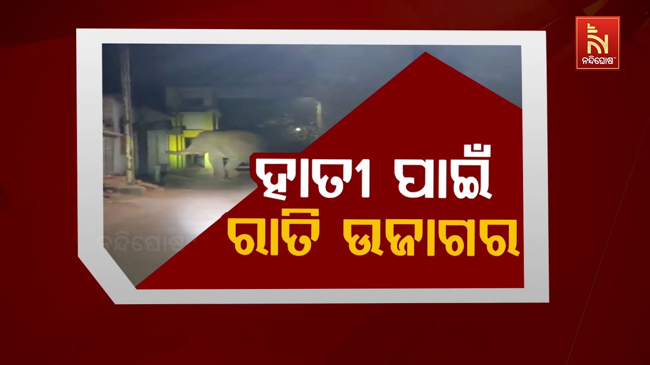 ହାତୀ ପାଇଁ ରାତି ଉଜାଗର