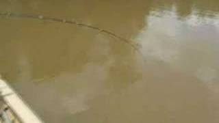 preview picture of video 'Memancing Udang Di Sungai Niah'