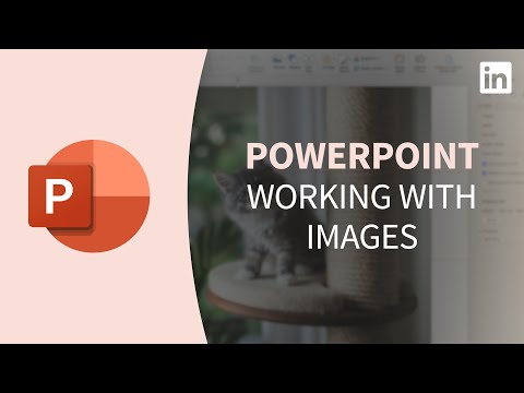 PowerPointチュートリアル - 画像を扱う (PowerPoint Tutorial - Working with images)