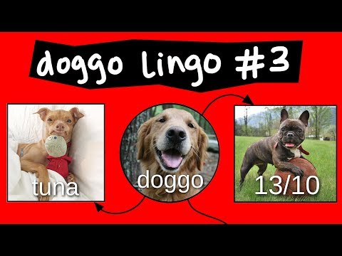 Doggo Chart - Part 3