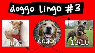 Doggo Chart #3