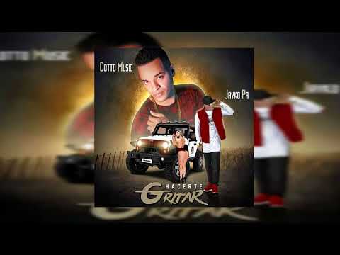 Hacerte Gritar - Cotto Music Ft. Jayko Pa | Audio Oficial