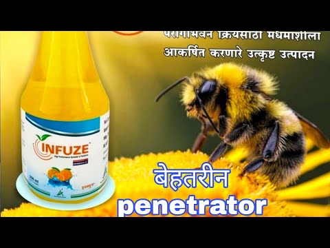 मधुमक्खी आकर्षित करने वाला चिपको Infuze। Best penetrator ।Agrisearch।शानदार चिपको प्लस penetrator