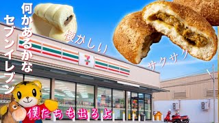 【実写】数年ぶりにセブンイレブンで食い物を買ったよ