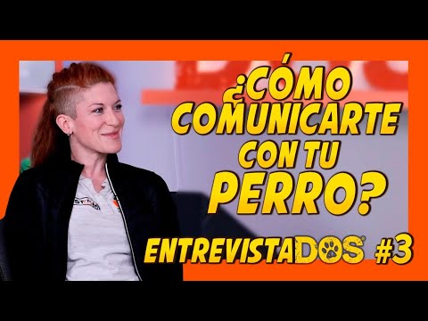 COMUNICACIÓN CANINA 🐶 (Lo que debes saber 📝) Cristina Serrano 🐾 EntrevistaDOS #3