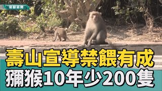 [爆卦] 壽山獼猴減少