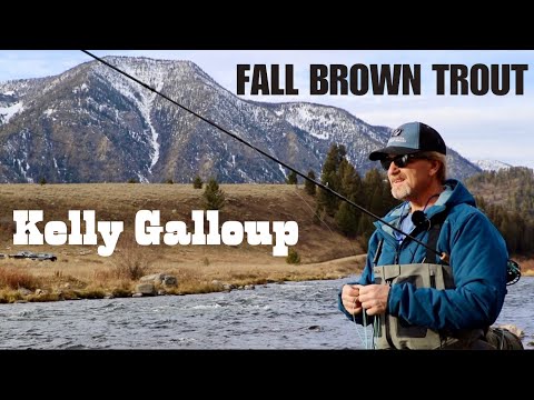 THE FLY SHOW Episode 3: Wade Fishing for Fall Brown Trout