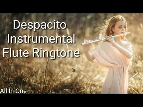 download lagu mp3 mp4 Despacito Violin Ringtone Mp3 Download Pagalworld, download lagu Despacito Violin Ringtone Mp3 Download Pagalworld gratis, unduh video klip Despacito Violin Ringtone Mp3 Download Pagalworld