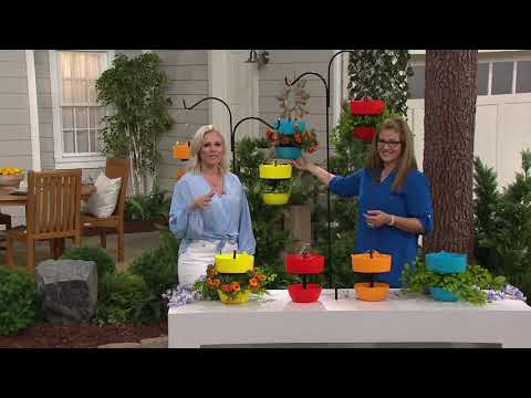 Bernini Carina 3-in-1 Bird Feeder, Fountain  & Planter on QVC