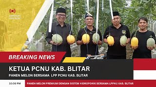 Download lagu Panen Melon Premium di LPP PCNU Kab. Blitar ! Hasilnya Bikin Kaget! mp3 Download lagu Panen Melon Premium di LPP PCNU Kab. Blitar ! Hasilnya Bikin Kaget! mp3