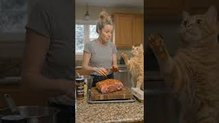 #youtubeshorts  #viral #comedy  #shorts #cat