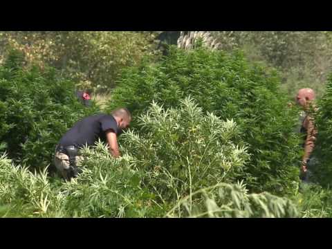 Hashashi dhe zgjedhjet, Demiraj tregon prioritetet - Top Channel Albania - News - Lajme