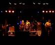 Mudhoney - Hard-On For War (live)