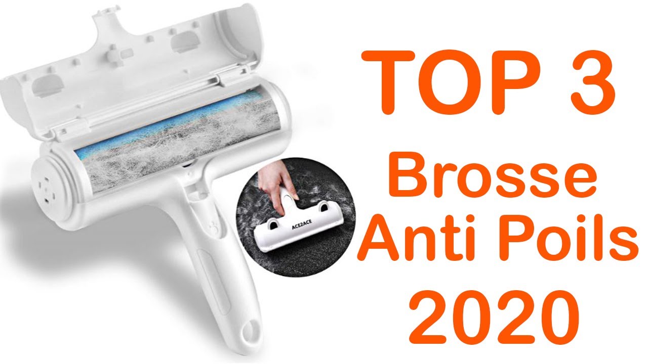 TOP 3 : Meilleure Brosse Anti Poils 2020