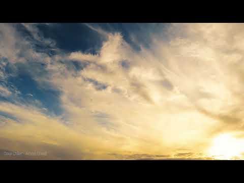 Coral Chiller - Almost Unreal