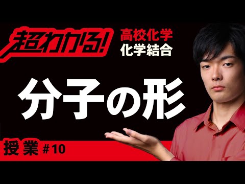 オレンジの皮に含まれる分子が肥満とアテローム性動脈硬化を大幅に軽減できると研究が発表