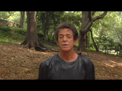 Lou Reed introduces Chen Taijiquan w his Master Ren, GuangYi (YMAA.com preview)#loureed#taichichuan