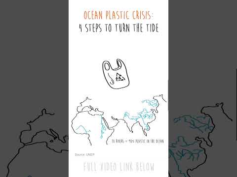 Crisis de Plástico Oceánico: 4 Pasos para Cambiar la Marea