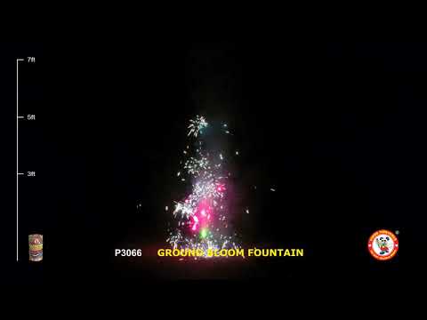 download lagu mp3 mp4 Bloom Fountain, download lagu Bloom Fountain gratis, unduh video klip Bloom Fountain