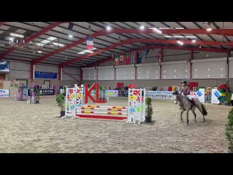 Class 1 Connemara 13.2 Competition Pony - Image 2
