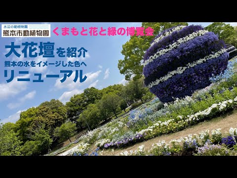 【くまもと花博・水辺エリア】熊本市動植物園の青をテーマに変化した大花壇をご紹介します！