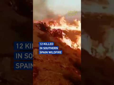 12 killed in southern Spain wildfire #worldnow