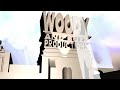 Woody And Buzz Productions Logo 2005 Tryptamine BDE Style