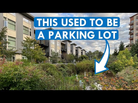 How Seattle Is Becoming an Urbanism Juggernaut (Maybe in Spite of Itself)