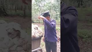 Download lagu H4rum has a lot of money #rubber #fyp mp3 Download lagu H4rum has a lot of money #rubber #fyp mp3