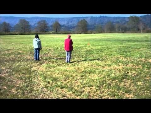 口吃(Koji)弟弟Coursing Ability Test(誘餌追獵的測試)(原發表者:gowell)(影片)