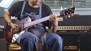 Video thumbnail for Strings Quick Demo : Duesenberg Starplayer Special by Strings Shop